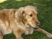 P6091357.JPG - 2008:06:09 16:18:22