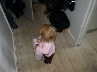 P6131366.JPG - 2008:06:13 08:39:35