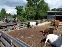 P6131368.JPG - 2008:06:13 10:19:09