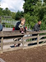 P6131370.JPG - 2008:06:13 10:19:14