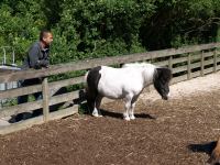 P6131371.JPG - 2008:06:13 10:19:20