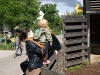 P6131372.JPG - 2008:06:13 10:22:01