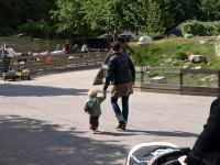 P6131374.JPG - 2008:06:13 10:22:24