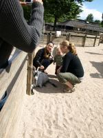 P6131382.JPG - 2008:06:13 10:24:24