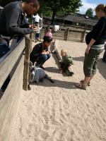 P6131383.JPG - 2008:06:13 10:24:36