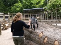 P6131390.JPG - 2008:06:13 10:25:09