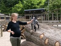 P6131392.JPG - 2008:06:13 10:25:11