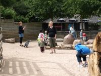 P6131399.JPG - 2008:06:13 10:27:57