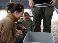 P6131411.JPG - 2008:06:13 10:35:15