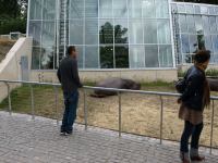 P6131418.JPG - 2008:06:13 11:02:22