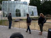 P6131419.JPG - 2008:06:13 11:02:25