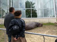 P6131422.JPG - 2008:06:13 11:02:47