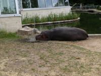 P6131423.JPG - 2008:06:13 11:02:54