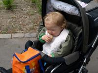 P6131426.JPG - 2008:06:13 11:04:42