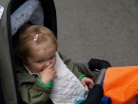 P6131429.JPG - 2008:06:13 11:04:54