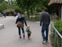 P6131434.JPG - 2008:06:13 11:30:00