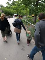 P6131436.JPG - 2008:06:13 11:31:19