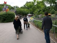 P6131439.JPG - 2008:06:13 11:31:26