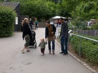 P6131445.JPG - 2008:06:13 11:31:34