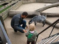 P6131452.JPG - 2008:06:13 11:34:36