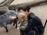 P6131454.JPG - 2008:06:13 11:35:04