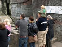 P6131462.JPG - 2008:06:13 11:57:21