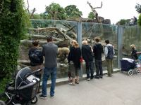 P6131475.JPG - 2008:06:13 12:06:24