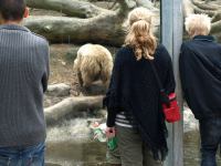 P6131476.JPG - 2008:06:13 12:06:29