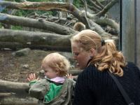 P6131479.JPG - 2008:06:13 12:06:42