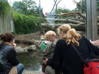 P6131480.JPG - 2008:06:13 12:06:47