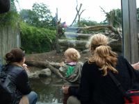 P6131487.JPG - 2008:06:13 12:06:54