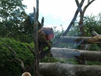 P6131488.JPG - 2008:06:13 12:06:58