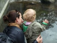 P6131494.JPG - 2008:06:13 12:07:50