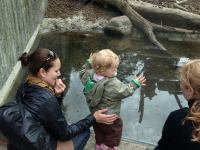 P6131495.JPG - 2008:06:13 12:07:53