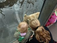 P6131497.JPG - 2008:06:13 12:08:30