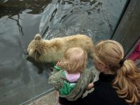 P6131498.JPG - 2008:06:13 12:08:31