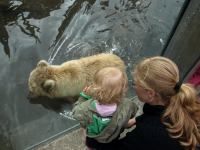 P6131499.JPG - 2008:06:13 12:08:32