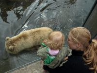 P6131500.JPG - 2008:06:13 12:08:32