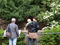 P6131501.JPG - 2008:06:13 12:10:27