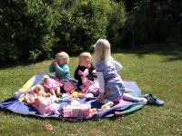 P6141549.JPG - 2008:06:14 11:26:09