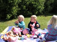 P6141550.JPG - 2008:06:14 11:26:12