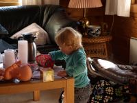 P6141628.JPG - 2008:06:14 18:19:56