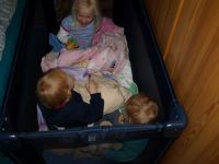 P6141657.JPG - 2008:06:14 20:11:28