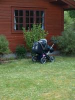 P6151671.JPG - 2008:06:15 11:12:58