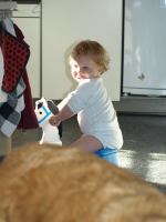 P6301717.JPG - 2008:06:30 18:25:43