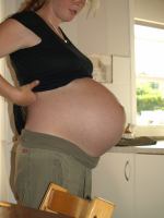 P6301738.JPG - 2008:06:30 18:27:11