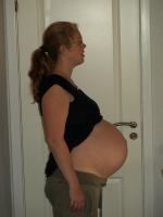 P6301742.JPG - 2008:06:30 18:28:03