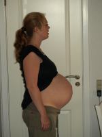 P6301744.JPG - 2008:06:30 18:28:06