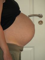 P6301746.JPG - 2008:06:30 18:28:14