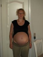 P6301748.JPG - 2008:06:30 18:28:25